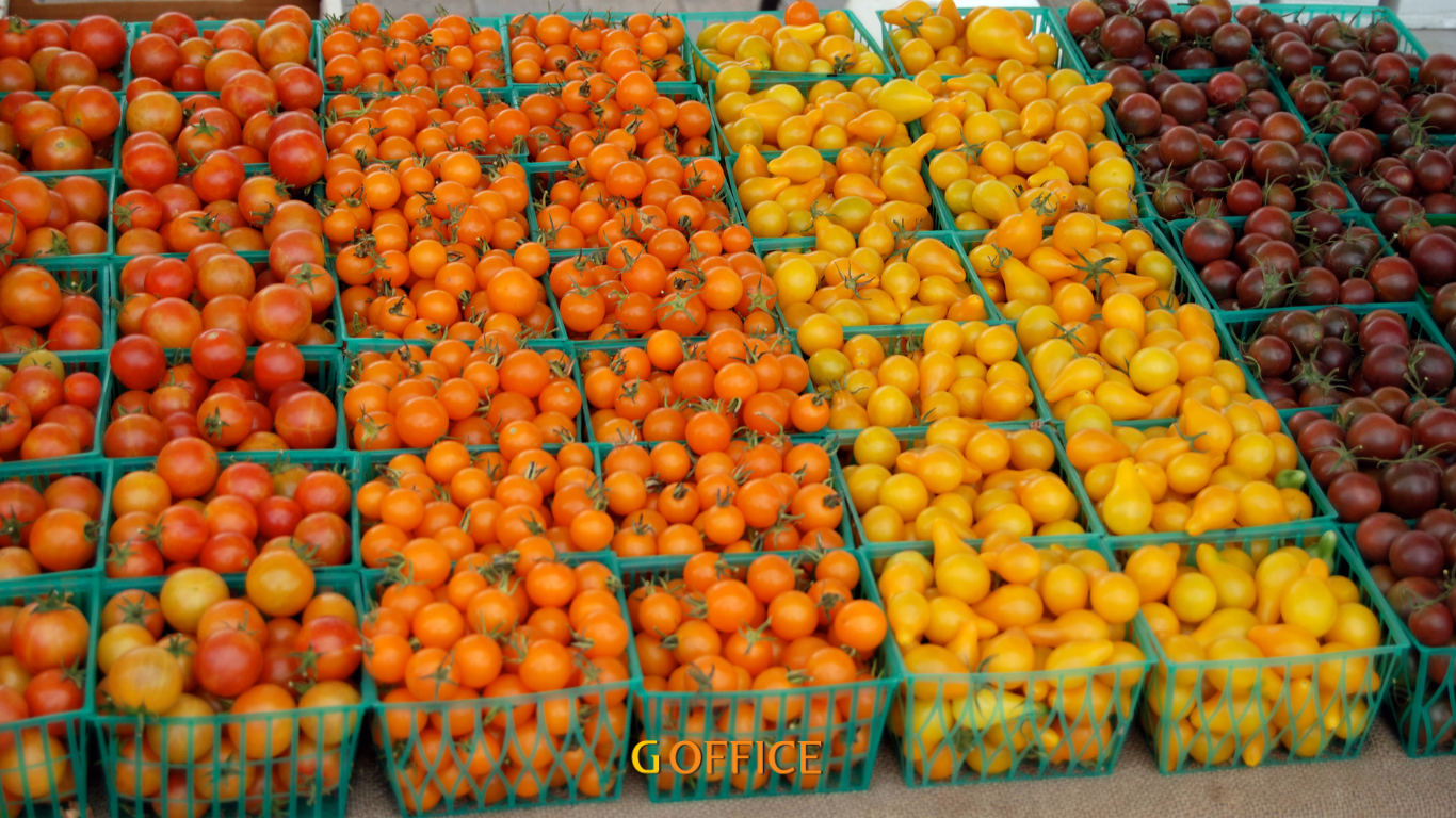 Xác định quy mô thị trường dựa trên sức tiêu thụ