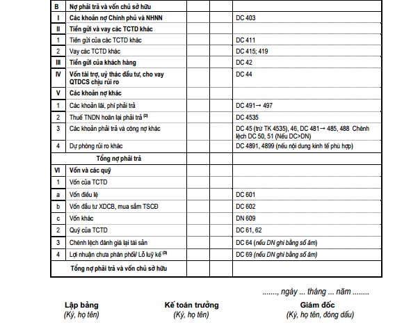 Mẫu bảng cân đối kế toán - 1