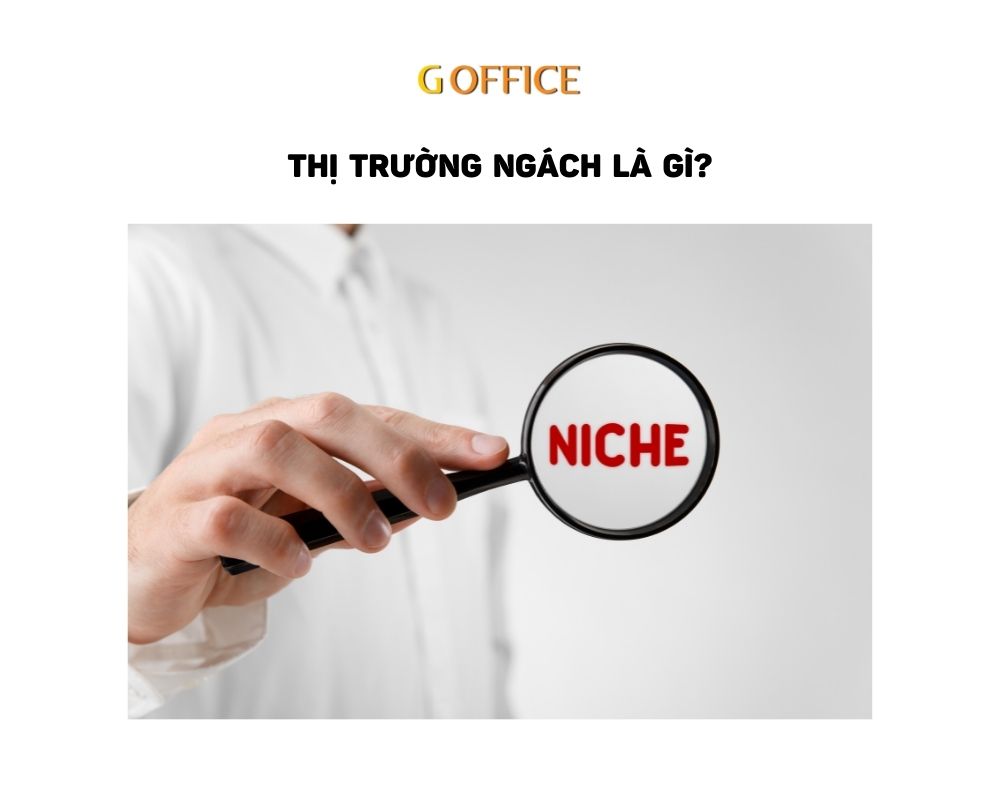 thị trường ngách là gì