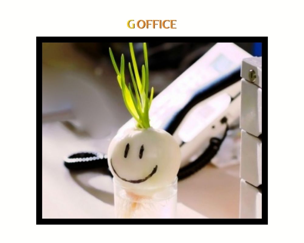 Trồng củ hành tây cute