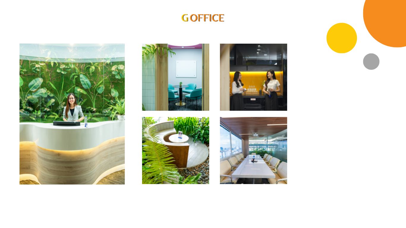 van phong ao la gia gì ?